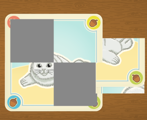 Picture of Picture Puzzle